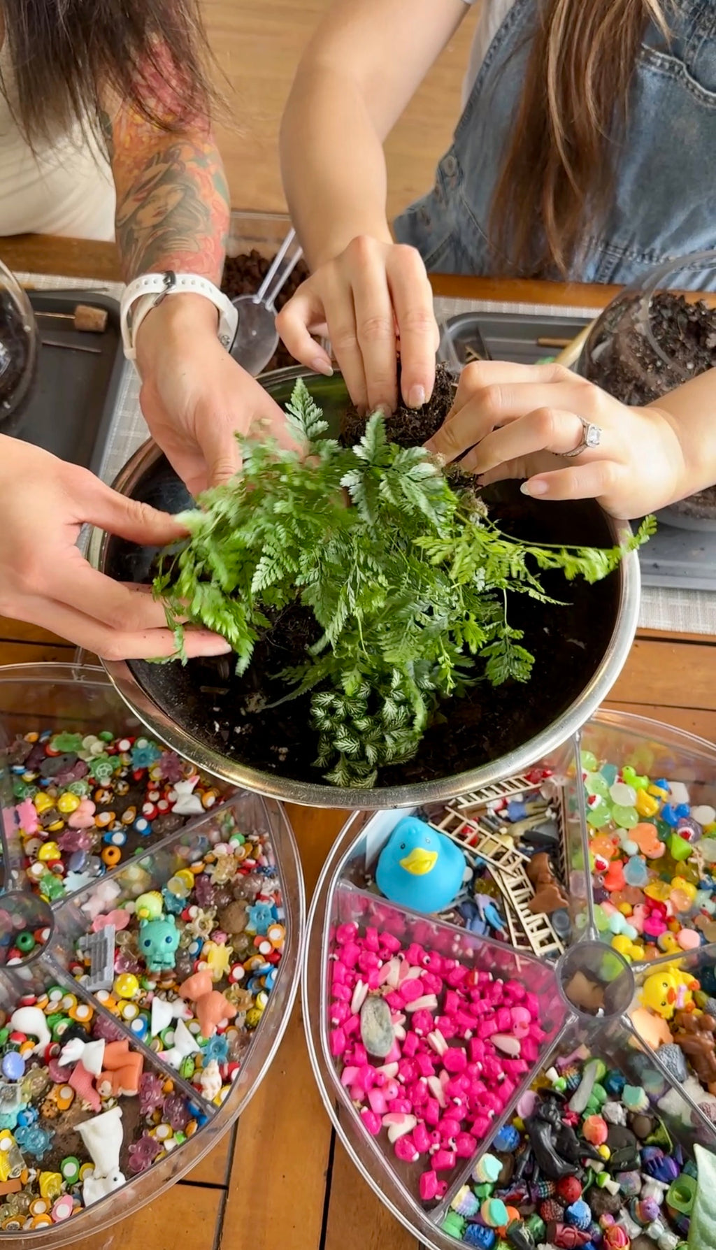 Kids Kokedama Workshop- Create Your Own Moss Ball Magic! 🌱