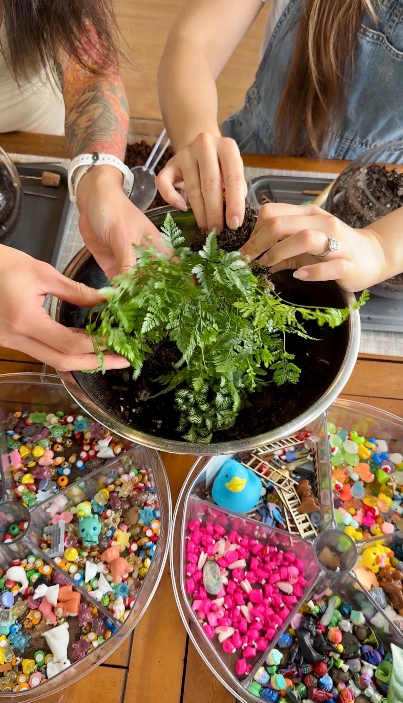 Kids Kokedama Workshop- Create Your Own Moss Ball Magic! 🌱