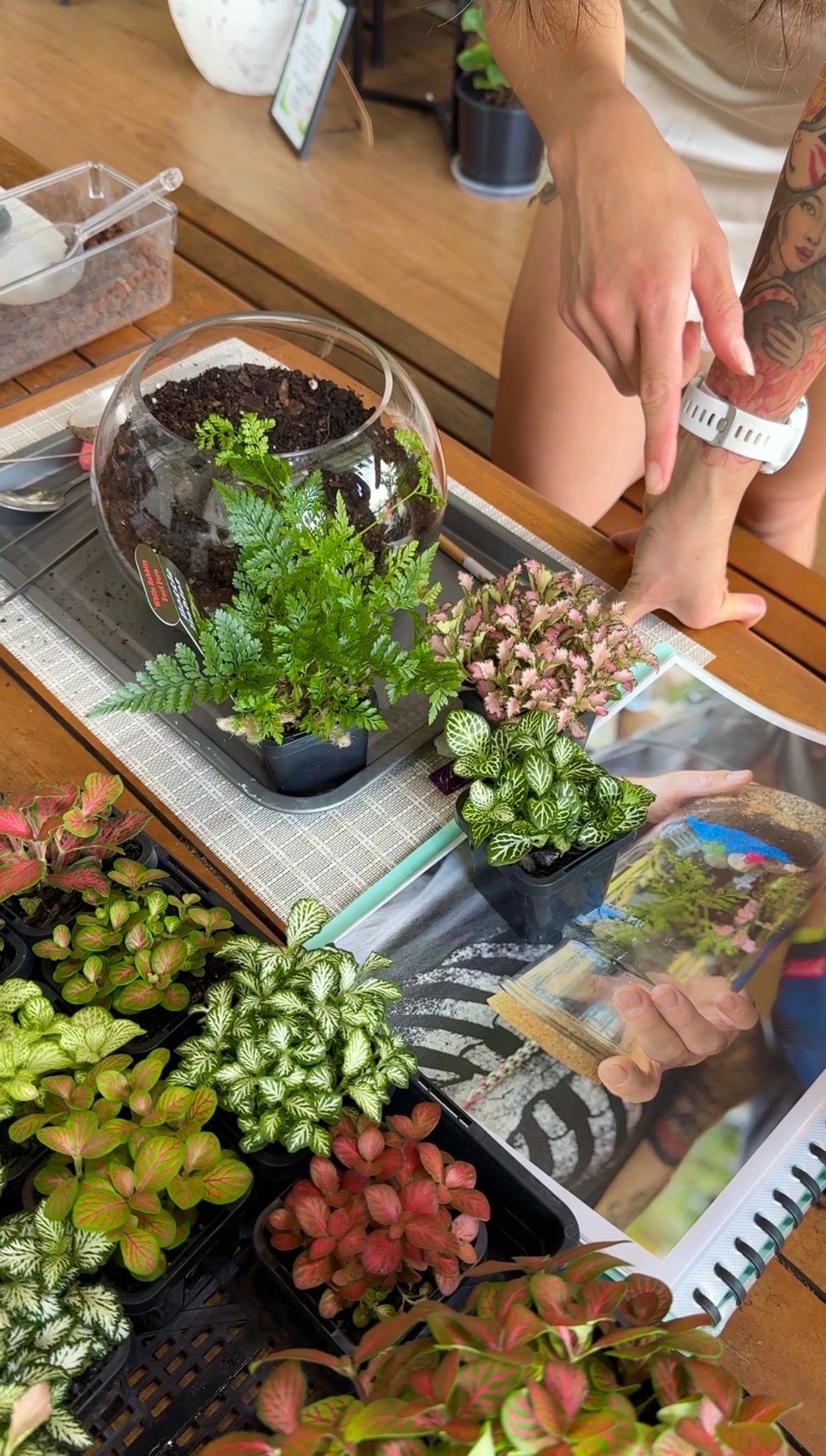 Kids School Holiday Terrarium Building and Pot Painting Class