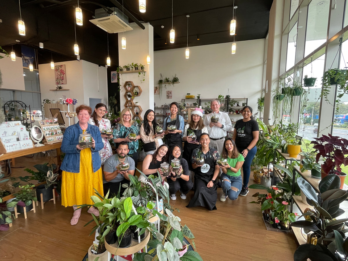 Terrarium Workshops Sydney near me