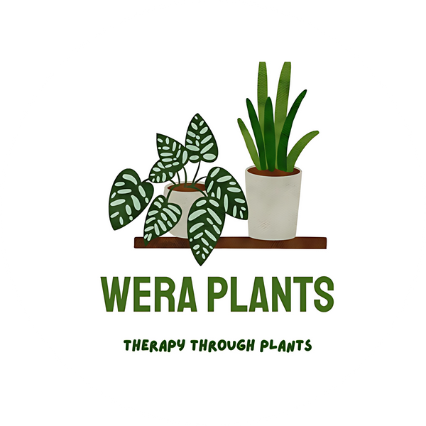 Wera Plants