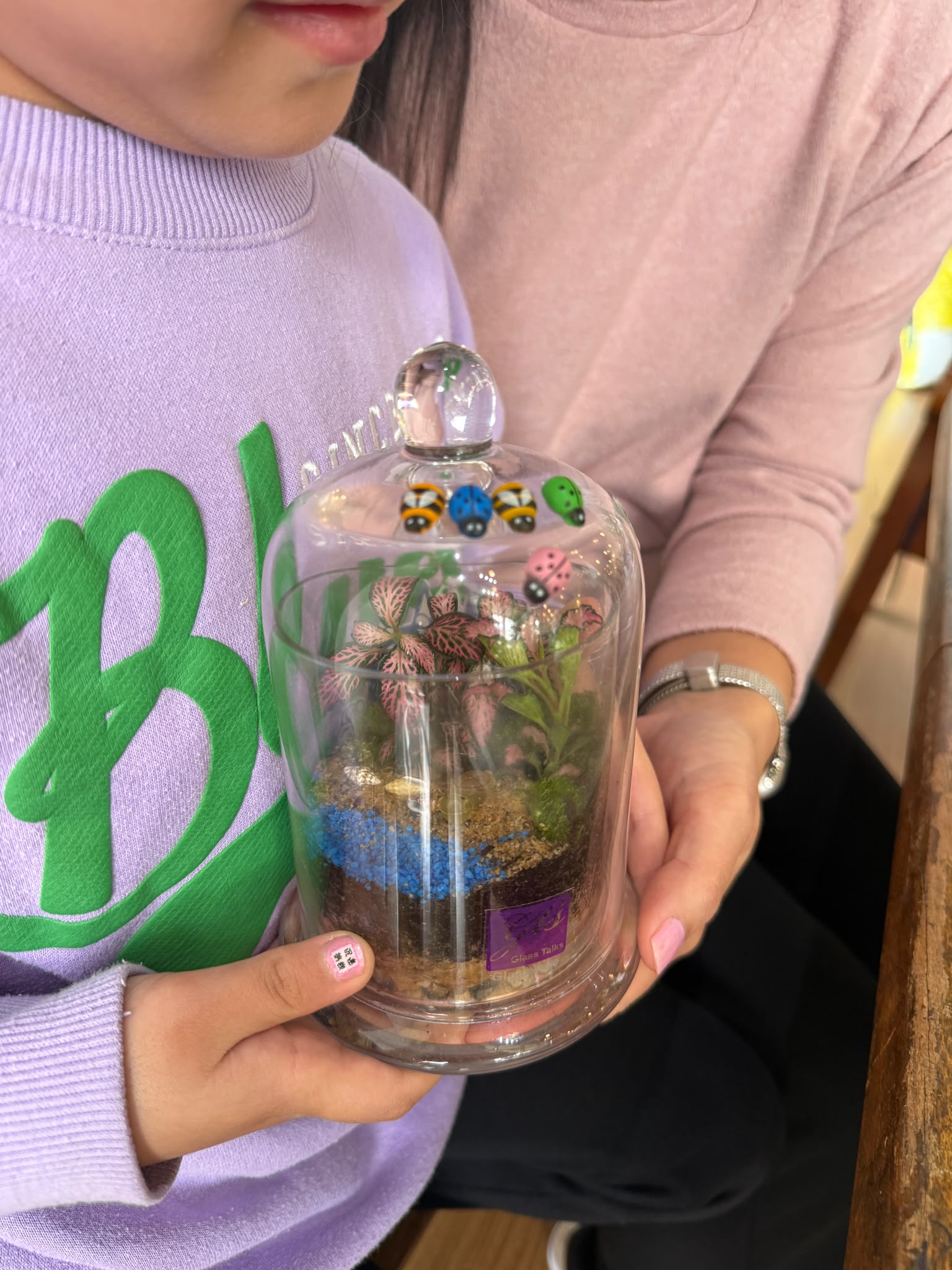 Tropical Terrarium Workshop- Canberra (Belconnen)