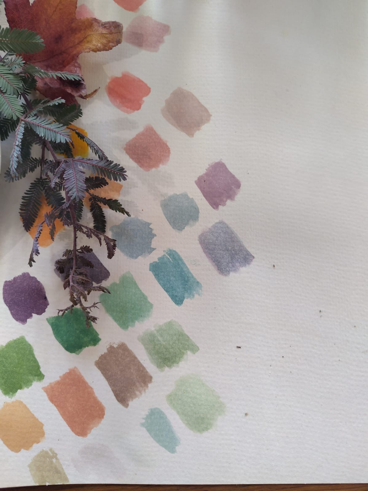 Cozy Create: Slow Sunday Watercolor Workshop in Sydney
