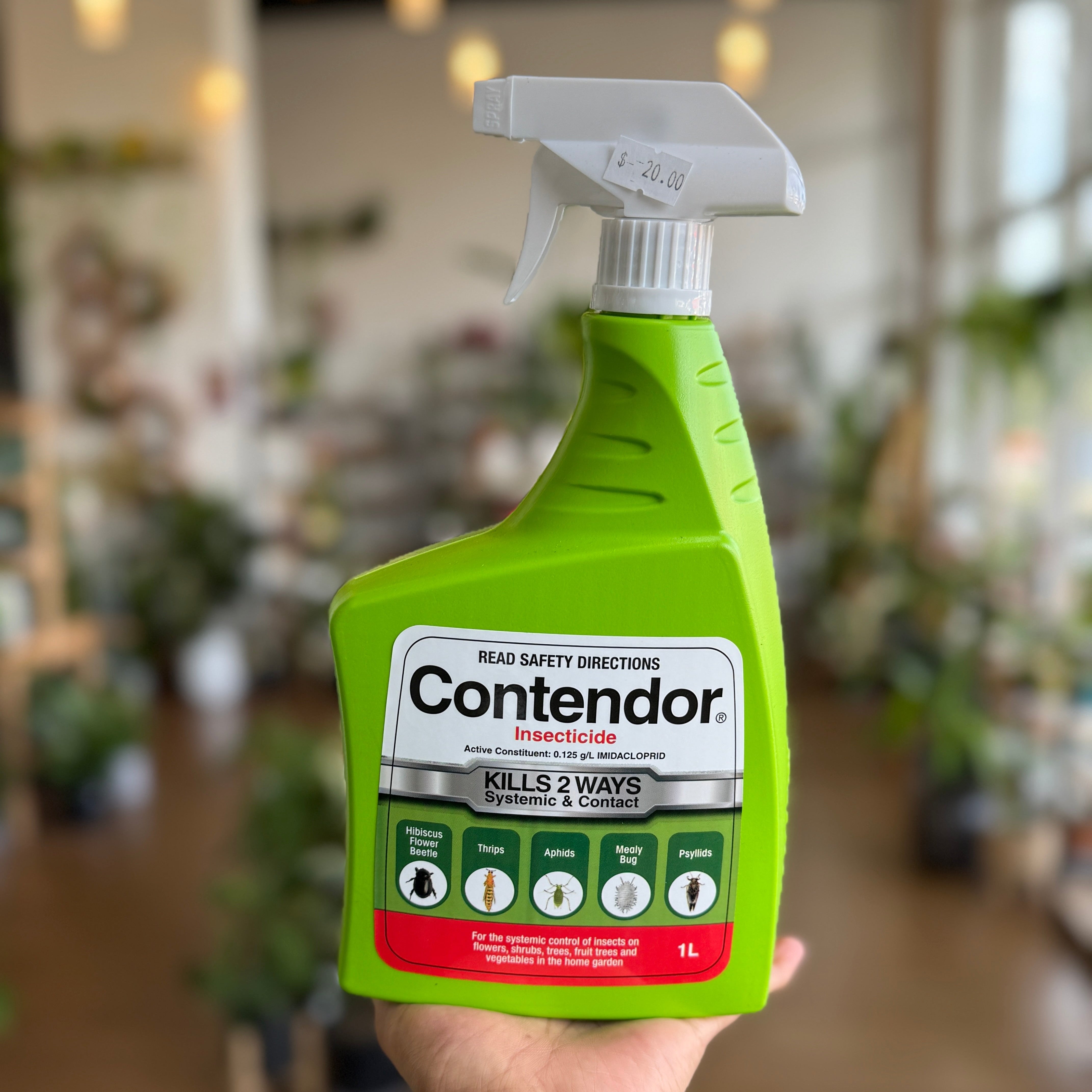 Contendor Insecticide – Long-Lasting Pest Control for Plants – Wera Plants