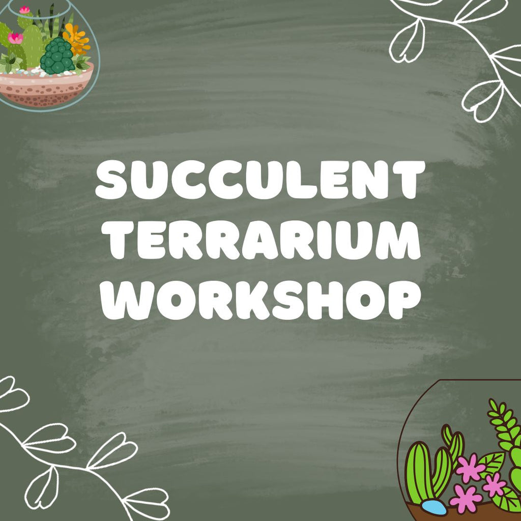 Succulent Terrarium Workshop