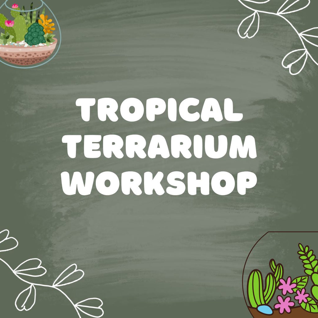 Tropical Terrarium Workshop
