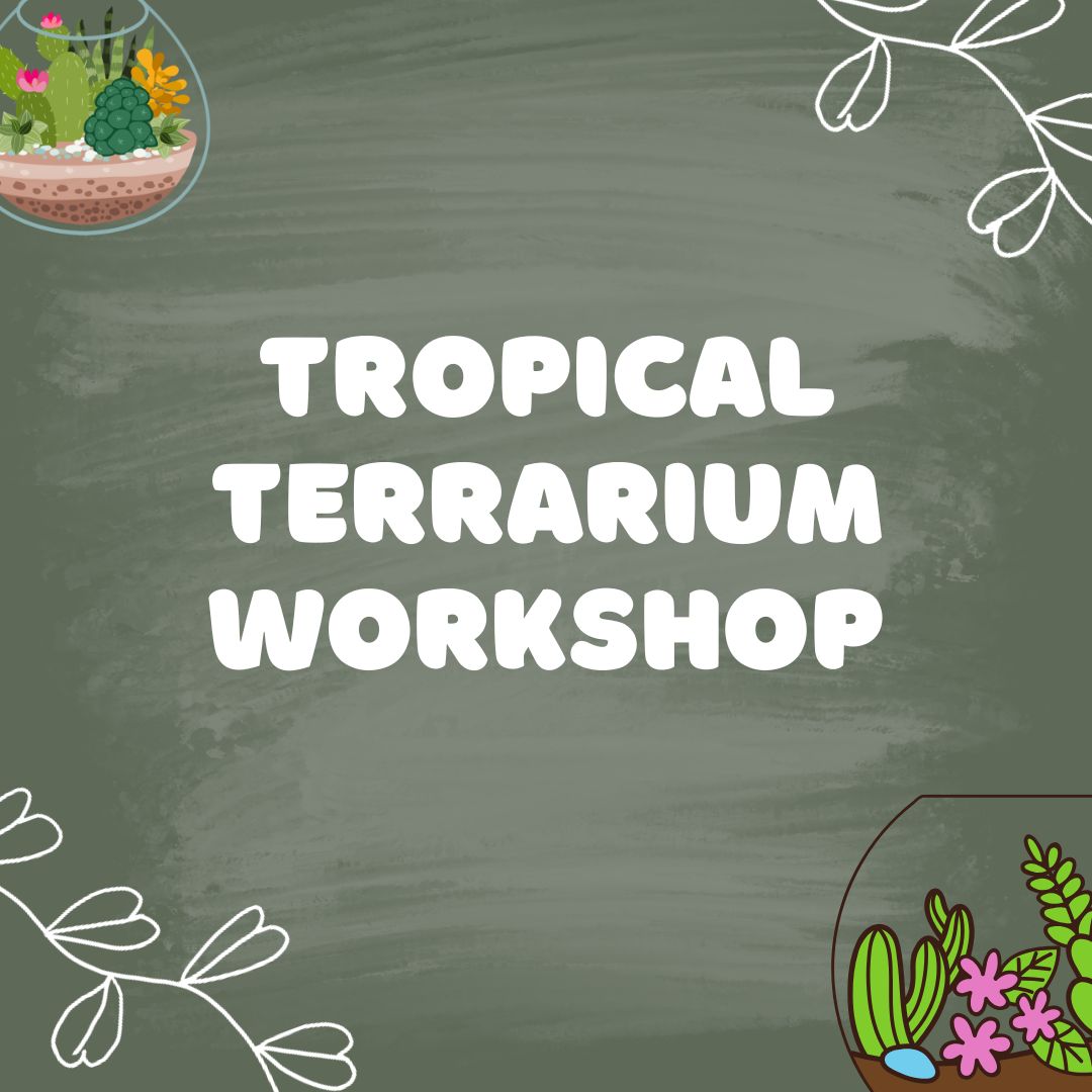Tropical Terrarium Workshop