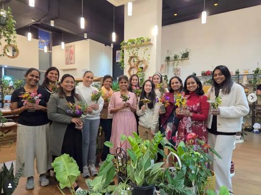 Flower Therapy Workshop- Heal with Flowers at Wera Plants