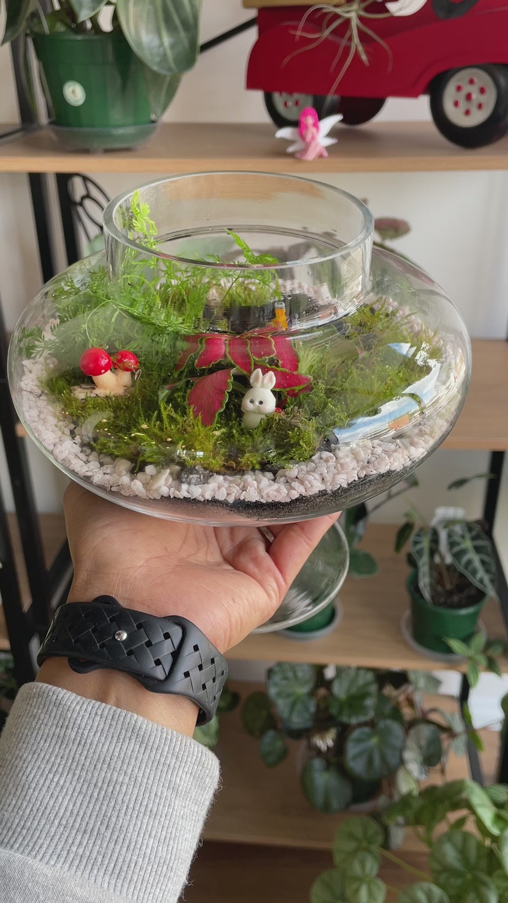 Saturday 10:00 AM Terrarium Workshop