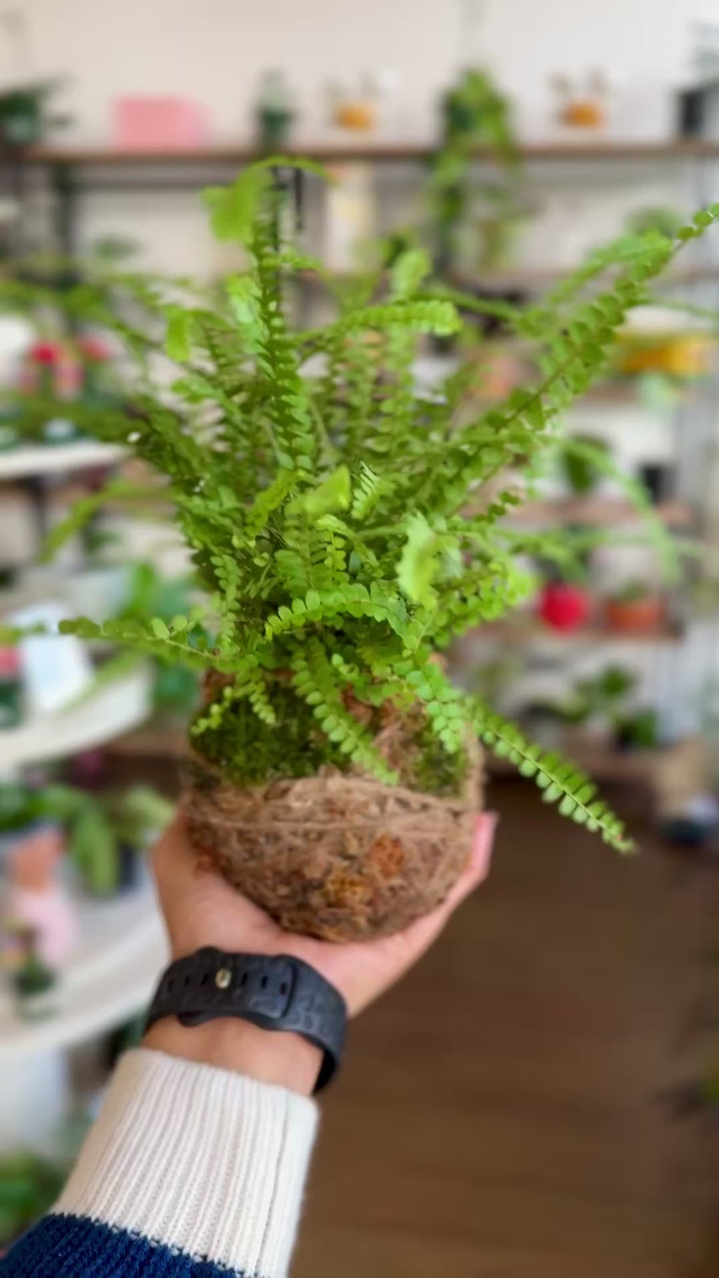 Kokedama Workshop – Create Your Own Moss Ball Magic! 🌱