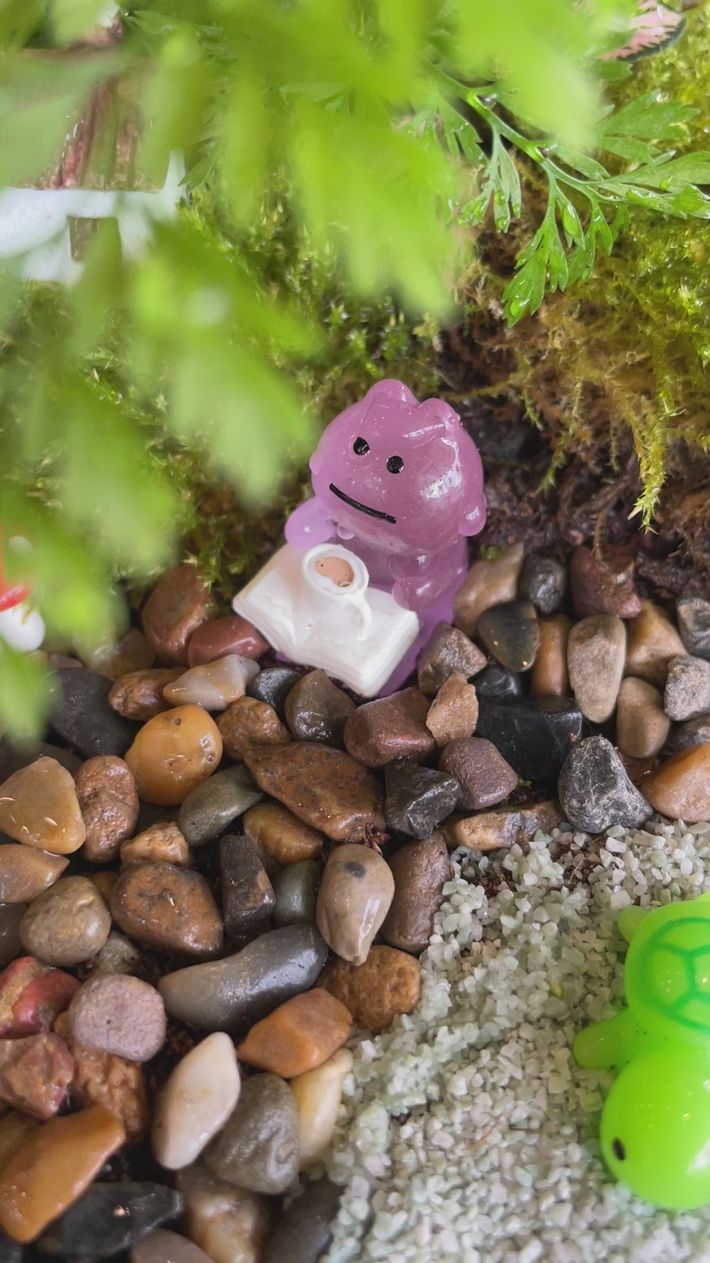 Sunday 10:00 AM Terrarium Workshop