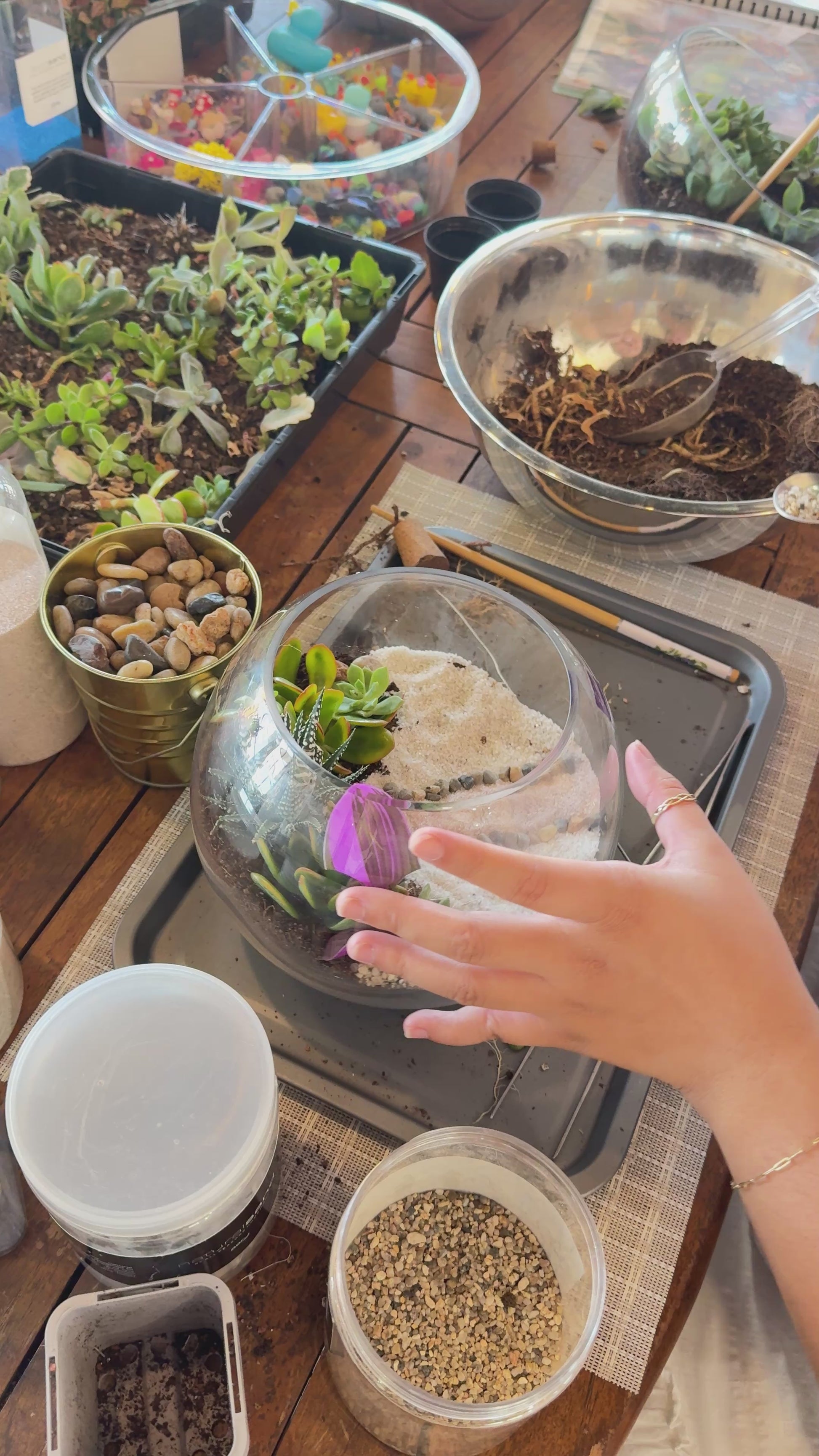 Easter 'Terrarium & Kokedama' Workshop in Sydney 🐰🦆