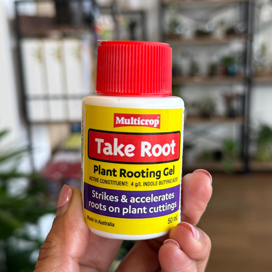 Rooting Gel – Fast, Healthy Root Growth for Cuttings