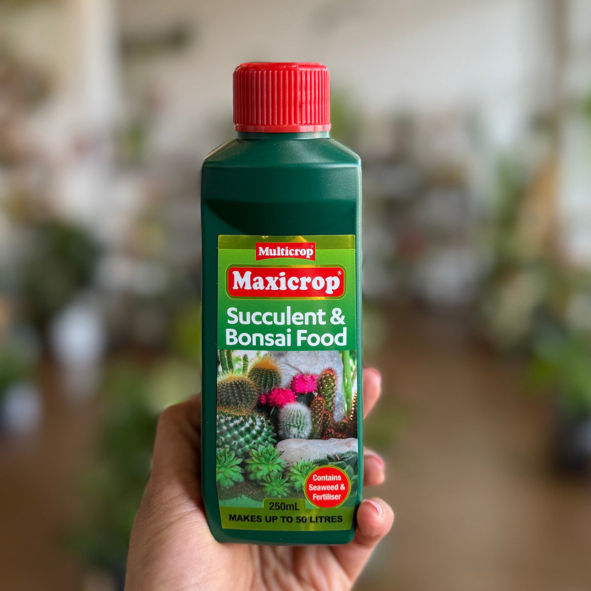 maxicrop indoor plant food Maxicrop Succulent & Bonsai Food – Healthy Growth & Colour – Wera Plants