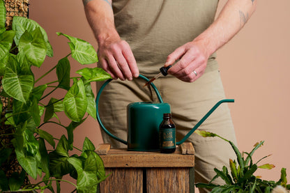 Indoor Plant Food - Wera Plants