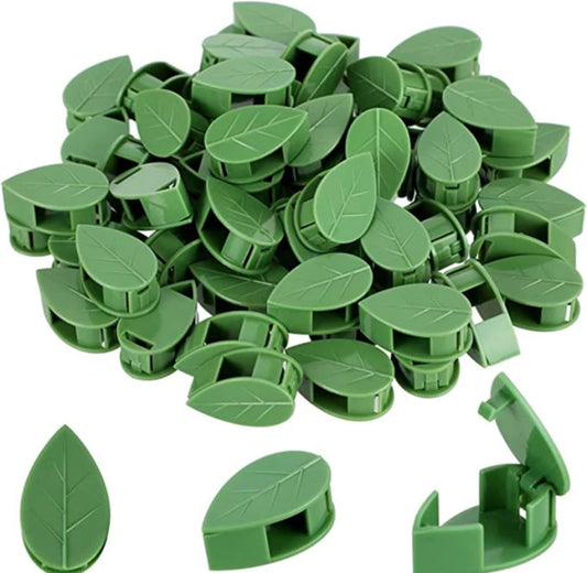 Plant Trailing Wall Clips (Self Adhesive)