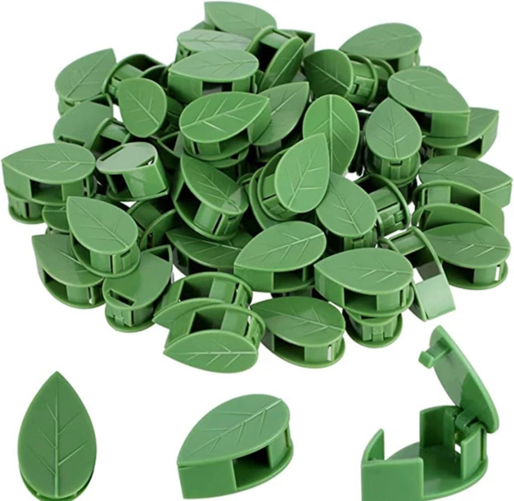 Plant Trailing Wall Clips (Self Adhesive) - Wera Plants
