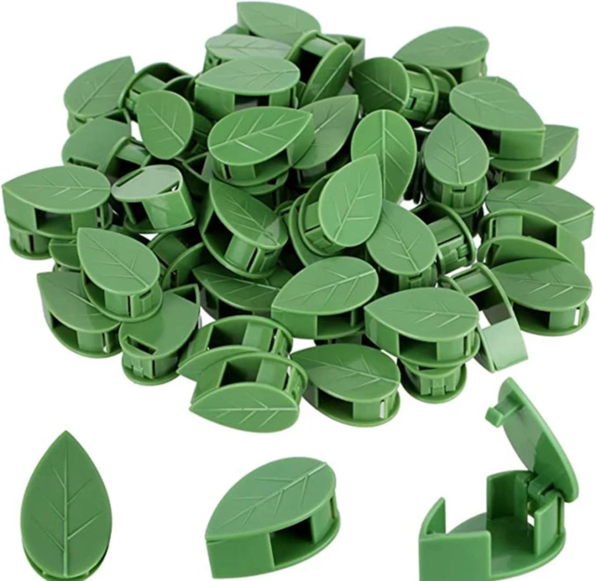 Plant Trailing Wall Clips (Self Adhesive) - Wera Plants