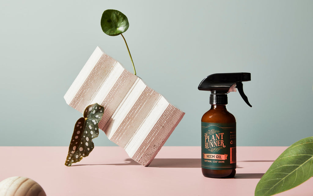 Neem Oil Leaf Shine - Wera Plants