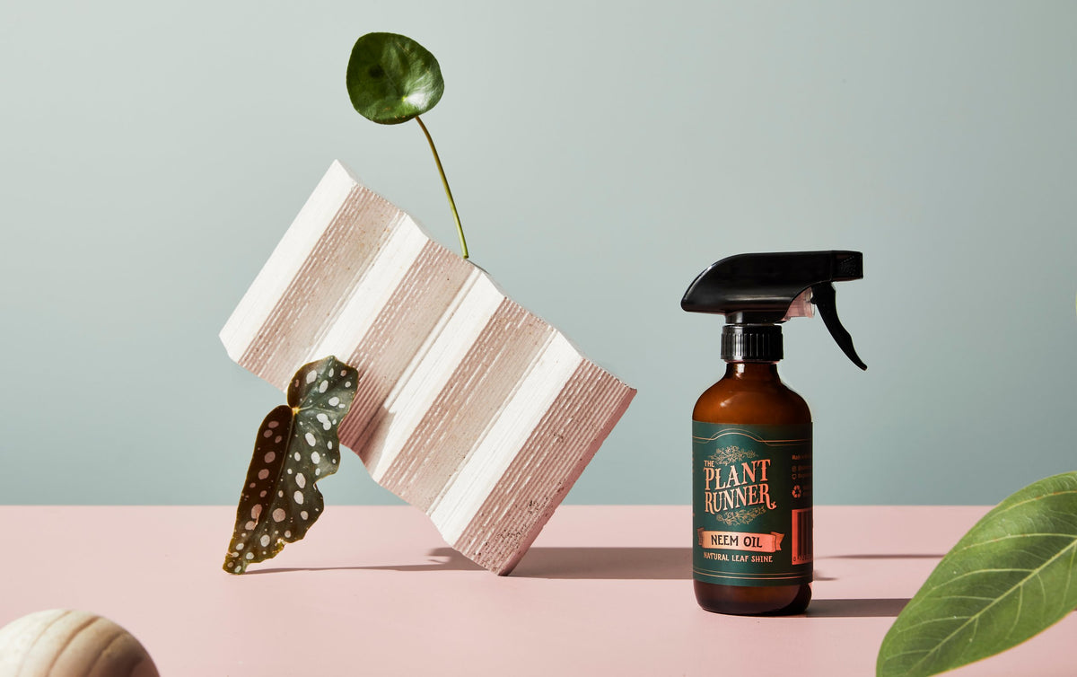 Neem Oil Leaf Shine - Wera Plants