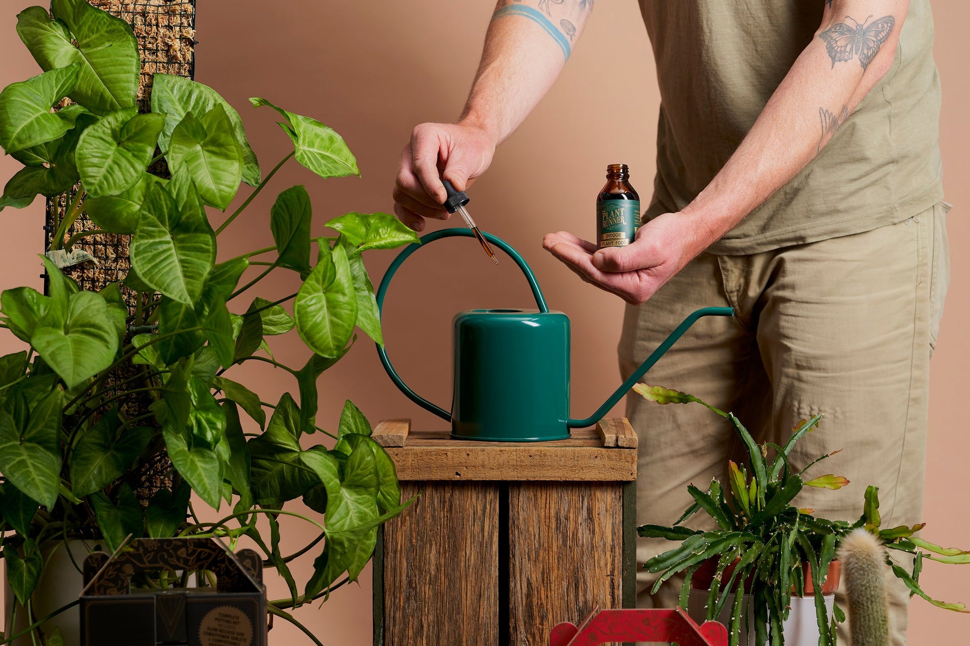 Indoor Plant Food - Wera Plants