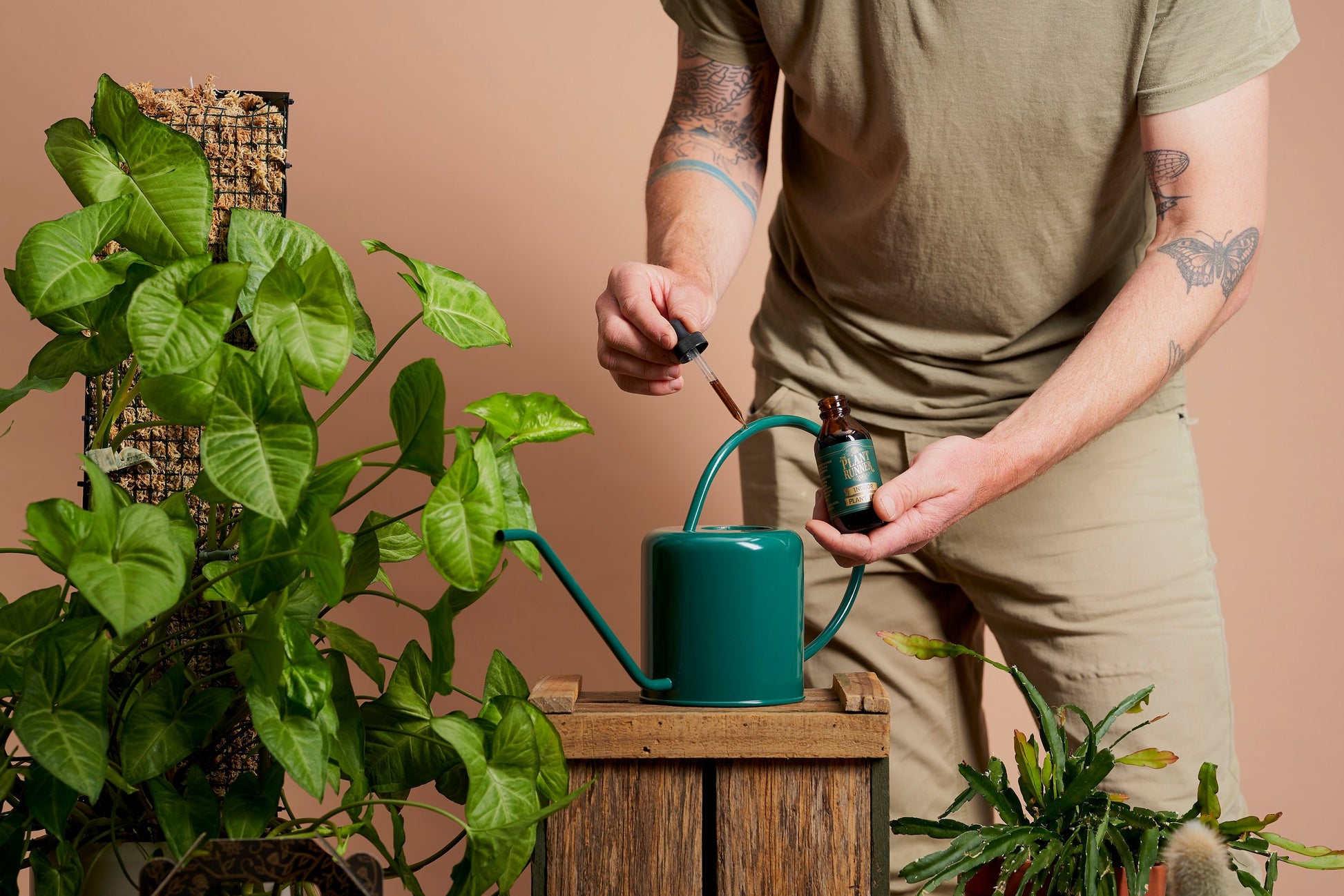 Indoor Plant Food - Wera Plants