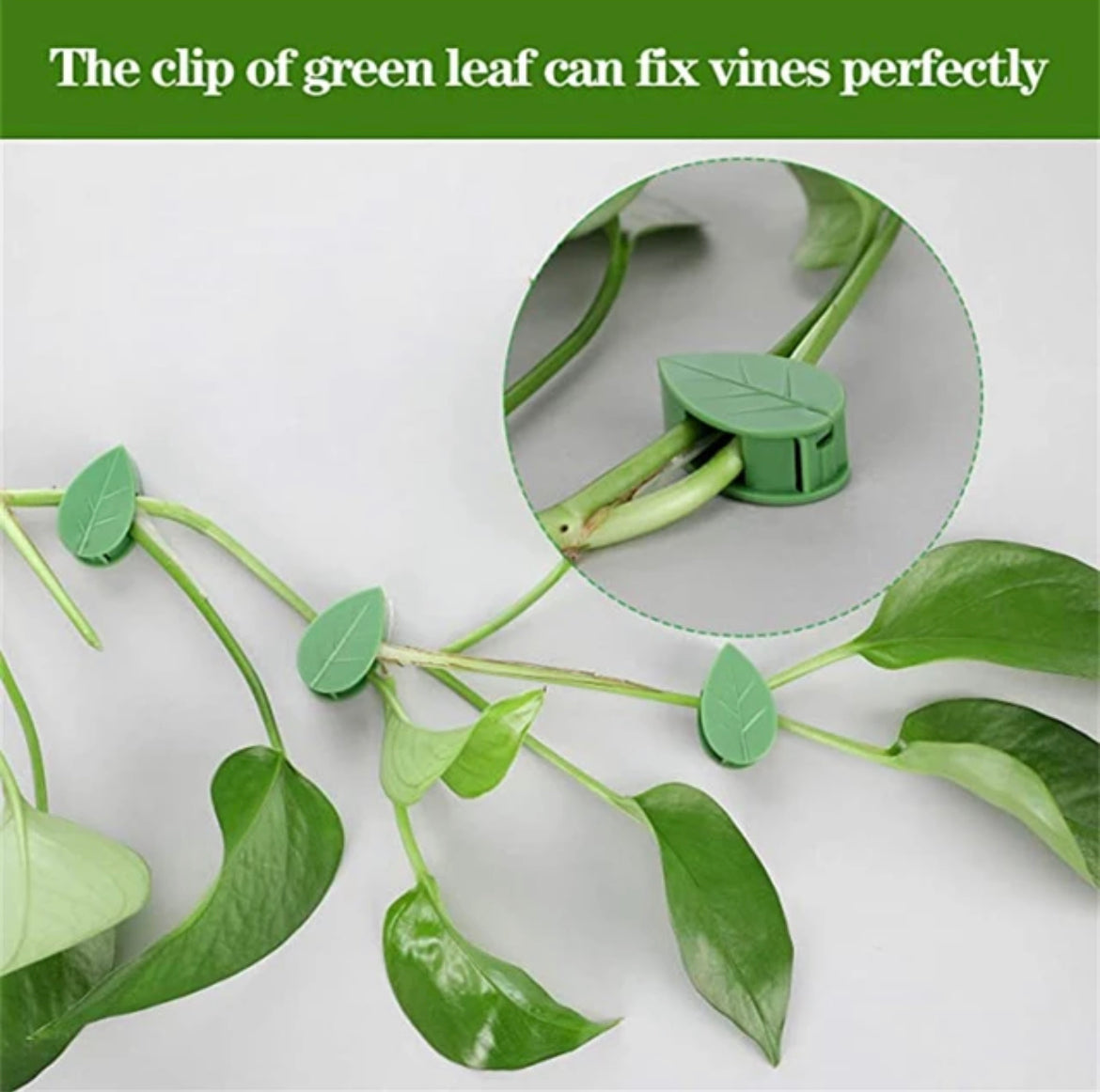 Plant Trailing Wall Clips (Self Adhesive)