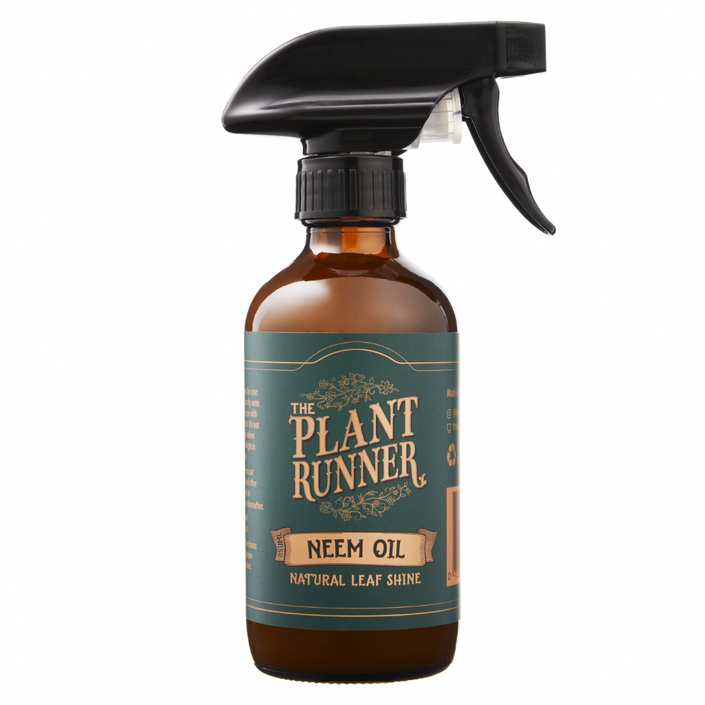 Neem Oil Leaf Shine - Wera Plants