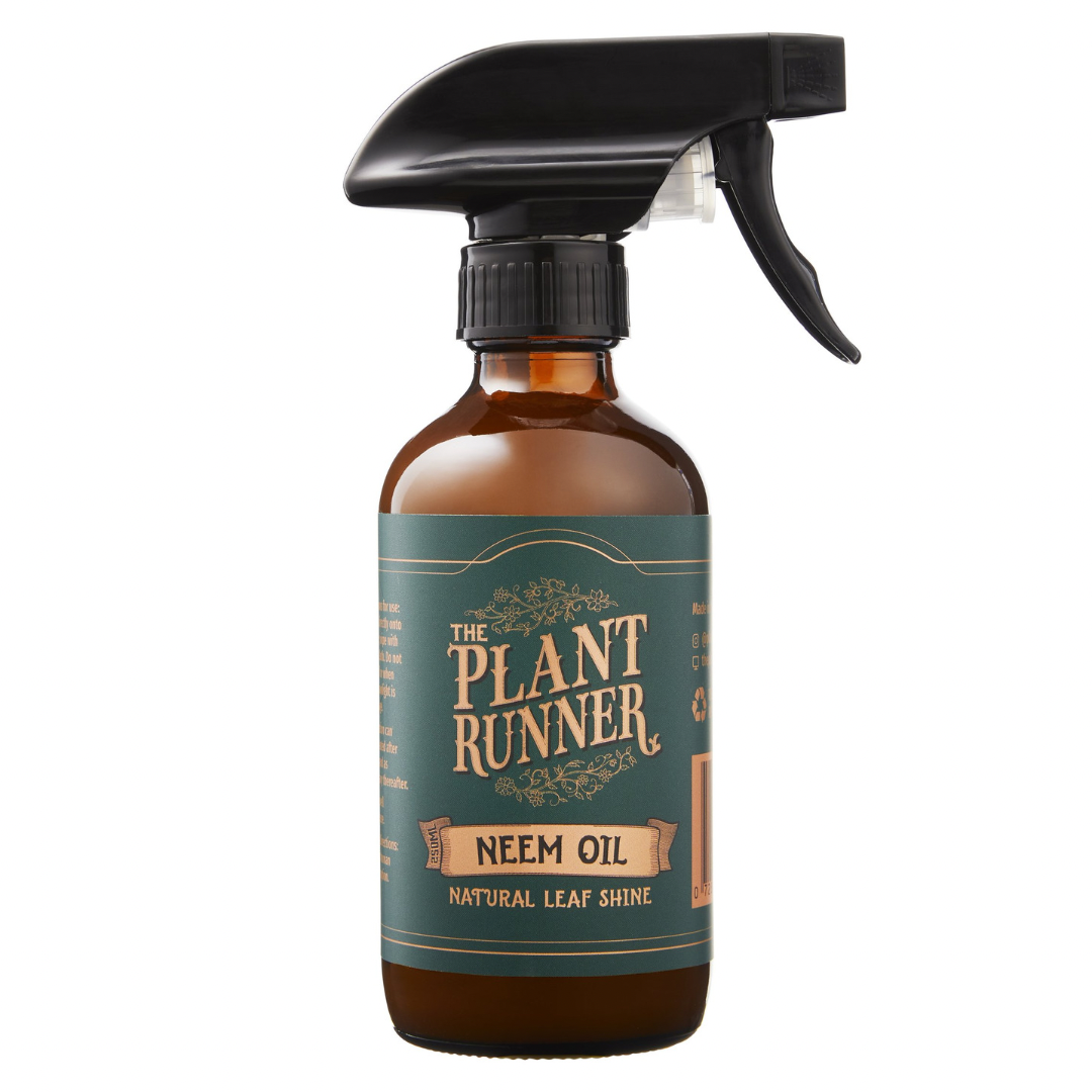 Neem Oil Leaf Shine - Wera Plants