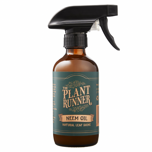 Neem Oil Leaf Shine - Wera Plants