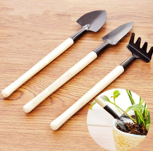 Succulent potting tools