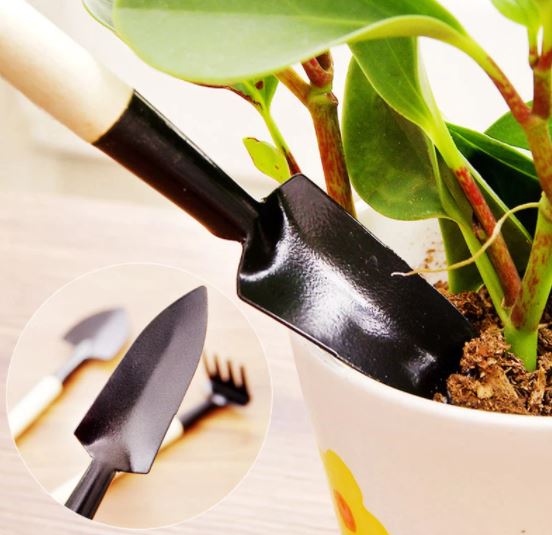 succulent arrangement tools