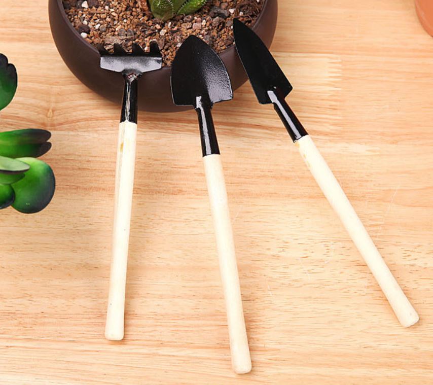 succulent arrangement tools